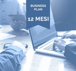 Business Plan 12 mesi