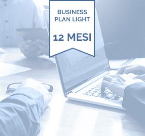 Business Plan Light 12 Mesi