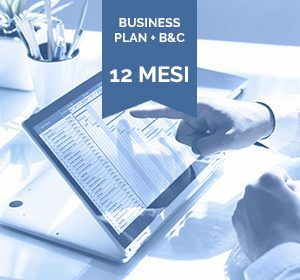Business Plan 12 mesi + Budget & Controllo