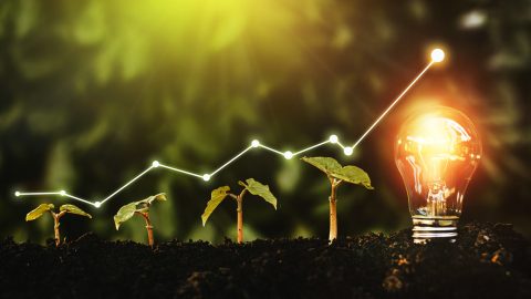Sostenibilità ambientale, sociale e di Governance (ESG)