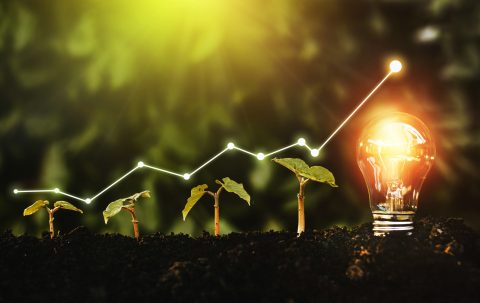 Sostenibilità ambientale, sociale e di Governance (ESG)